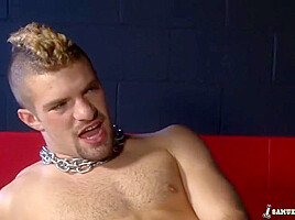 The Spider Catches A Sexy Fly - Adam Wirthmore And Samuel O'toole