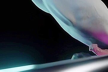 Thebartender (blowjobs Intense Moans And Asses) - Delicious Hot