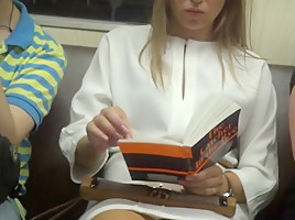 Upskirted in the train