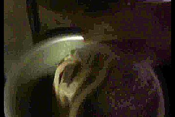 Velma Captured And Toyed With