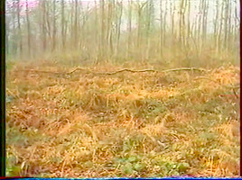 Vintage French porno with hairy guys and ladies