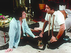 Wanda Whips Wall Street (1982)