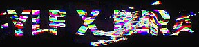 Want Some Company - MYLF