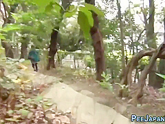 Weird Japanese Pee Street