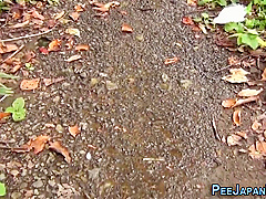 Weird Japanese Pee Street