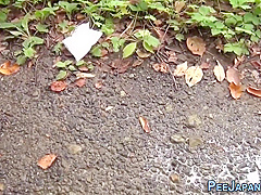 Weird Japanese Pee Street