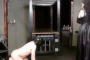 Worthless Pig Humiliated - Female Domination