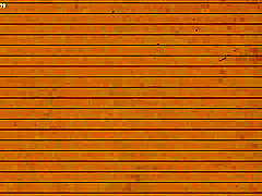 YVLPOGVJKNLKPAVHMH41SONE278