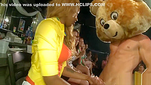dancing bear entertains the sluts who desire the strippers dick