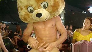 dancing bear entertains the sluts who desire the strippers dick