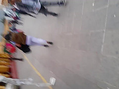 leggings transparent