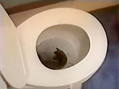 potty time