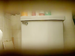 toilet wc spy