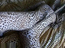 zentai leopard