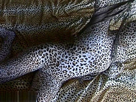 zentai leopard
