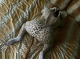 zentai leopard