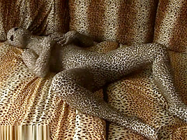 zentai leopard