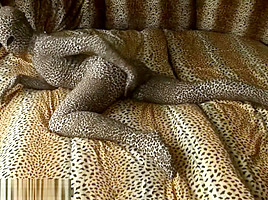 zentai leopard
