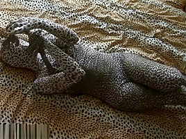 zentai leopard