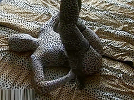 zentai leopard